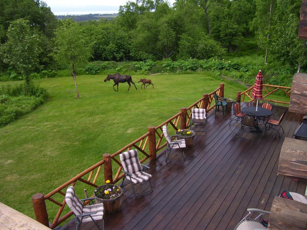 Bed & Breakfast Juneberry Homer