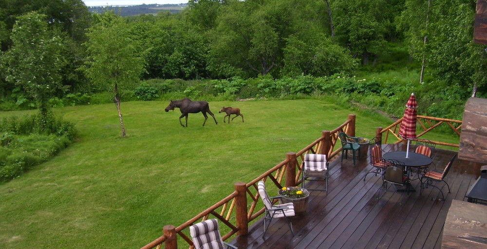 Juneberry Bed & Breakfast