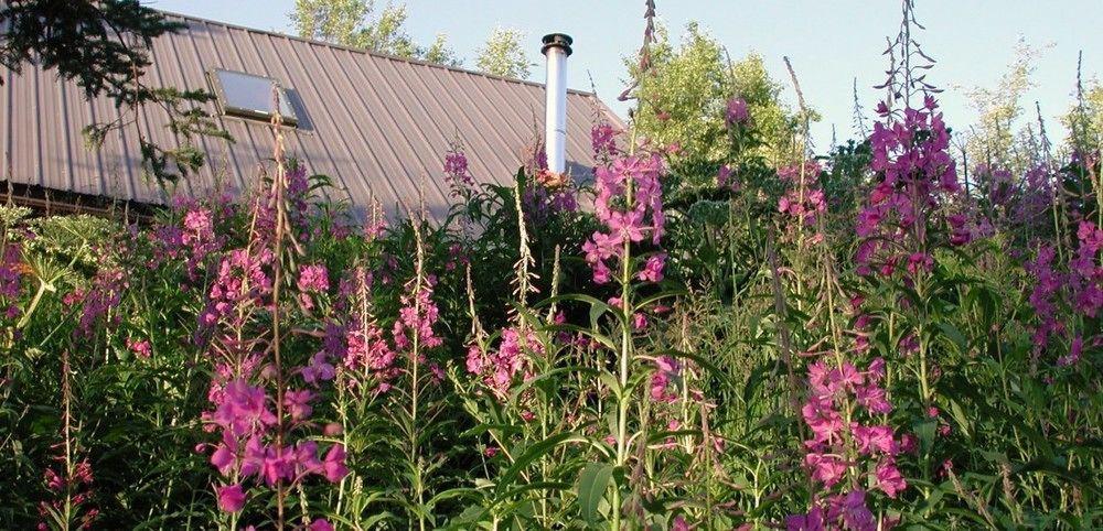 Juneberry Bed & Breakfast Homer