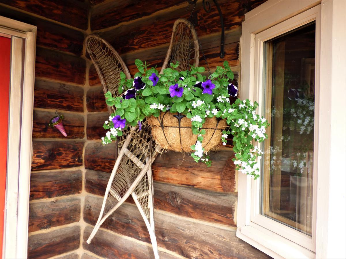 Bed & Breakfast Juneberry Homer