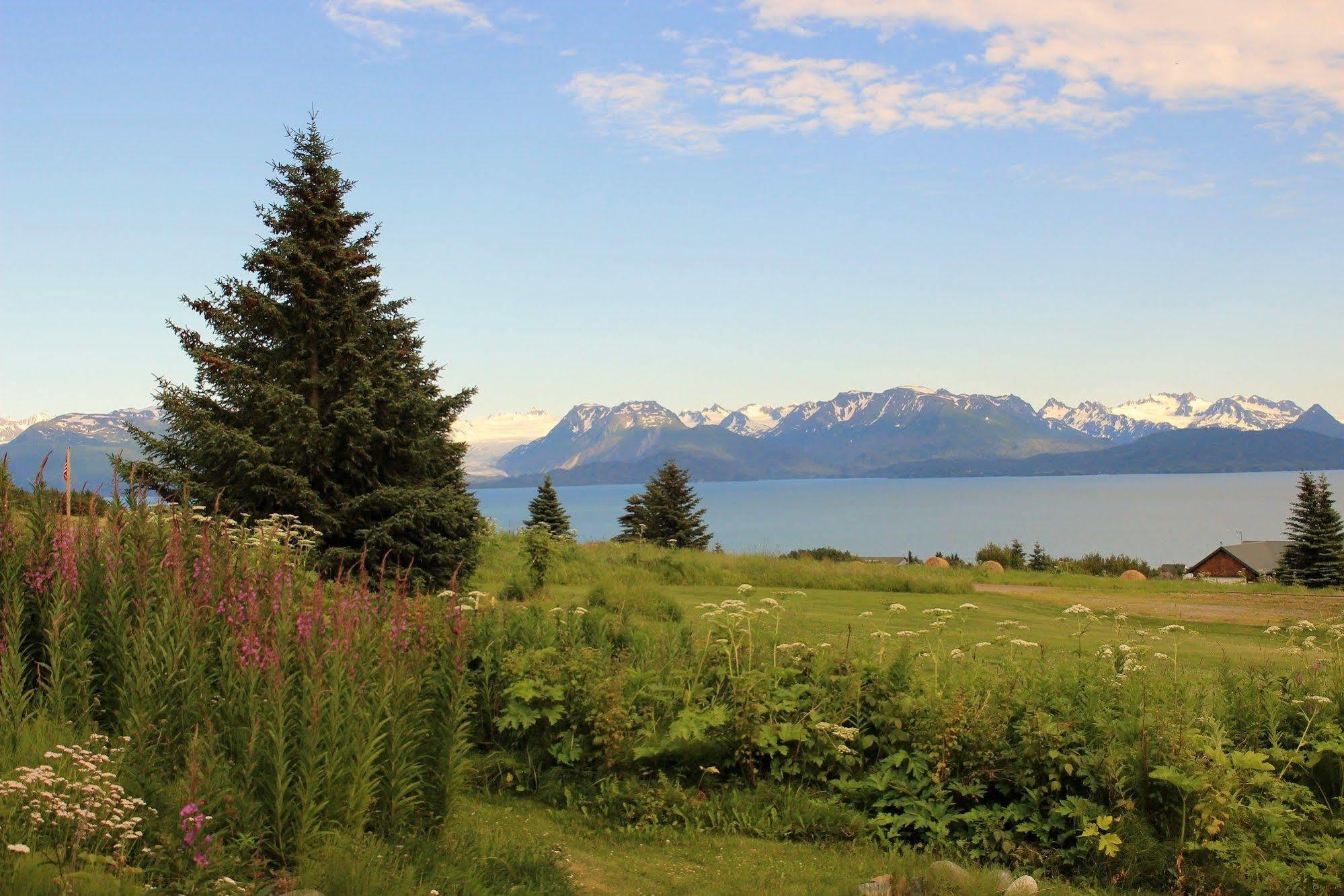Bed & Breakfast Juneberry Homer